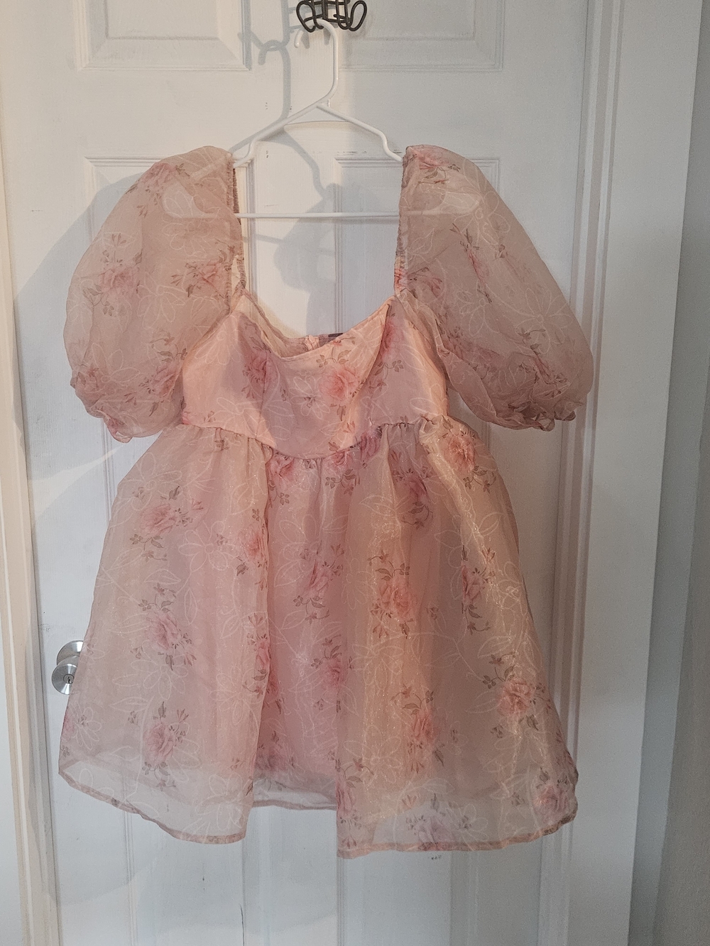 Sheer Puff Sleeve Floral Babydoll Dress in Light Pink